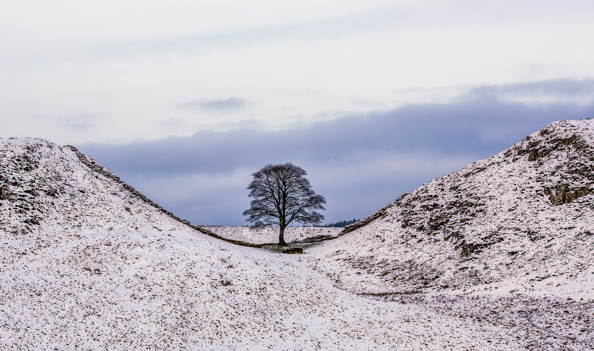 Icy Sycamore Gap - Kev Hilton - Dec 2015
